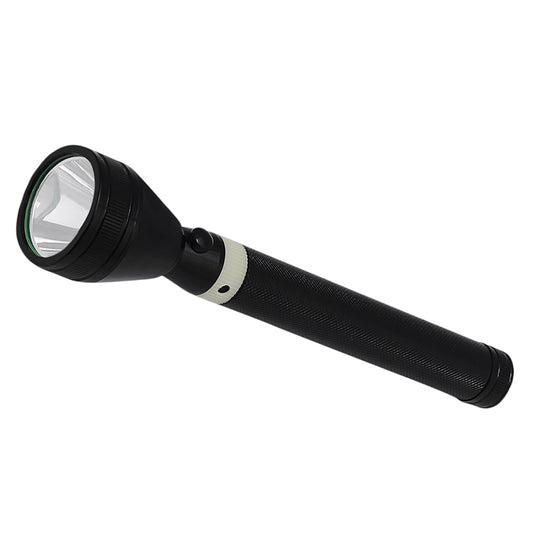 Torch Light